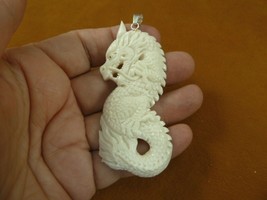 j-Drag-10 mystical white water Dragon carving PENDANT of Water Buffalo bone - $35.76