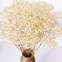 Dried-Babys-Breath-Flowers-Bouquet, 17.2 Inch 2500+ Ivory White Flowers, Natural - £25.57 GBP