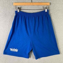 Water Park Wet N Wild Vintage Shorts Mens Size Small Blue Soffe Casual Universal - £18.20 GBP