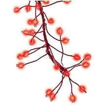Holiday Bright Lights Micb-rd-216-clrdt Christmas Micro Cluster Big Seed... - $36.56