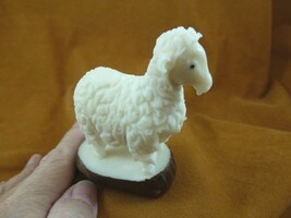 (TNE-SHE-491A) little white fluffy Sheep ewe tagua nut carving Vegetable... - £23.14 GBP