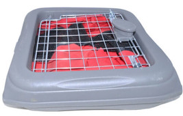 Sport Pet Foldable Travel Small Pet Carrier Plastic Collapsible 20&quot;x13&quot;x13&quot;  - £19.97 GBP