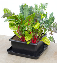 Self Watering Planter Metro Grower Kit Basic - £39.27 GBP