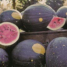 Watermelon Moon And Stars Vegetable Seeds Citrullus Lanatus 15 Seeds - £9.99 GBP