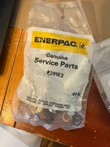 NEW OEM ENERPAC Pump Service Repair Kit Hydraulic hand  P391 &amp; P392 # P3... - £57.12 GBP