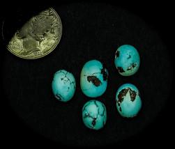 10.5 cwt.Vintage Persian Matched Lot of 5 Turquoise Cabochons - £47.96 GBP