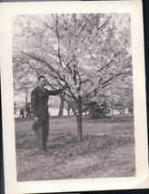 Vintage Serviceman Posing With Flowering Tree WWII 1940s - $4.99