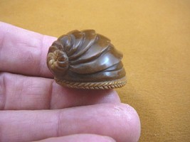 (tb-snail-2) little tan Snail shell Tagua NUT palm figurine Bali carving snails - £31.38 GBP