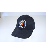 Aberdeen Ironbirds Logo Minor League Baseball Adjustable Baseball Hat Ca... - $247.53 MXN