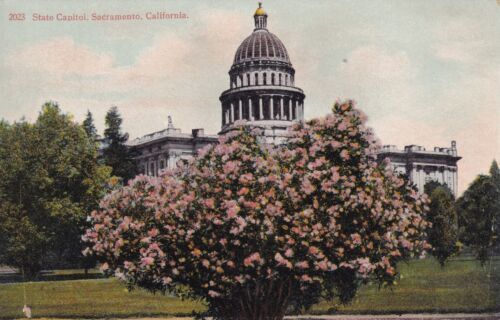 Primary image for State Capitol Sacramento California CA Postcard D36