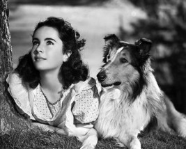 An item in the Entertainment Memorabilia category: Elizabeth Taylor With Lassie 8x10 HD Aluminum Wall Art