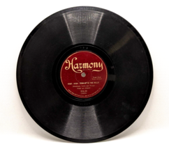 1926 Harmony Records 78 Tom &amp; Jerry # 324-H My Little Bunch of Happiness Shellac - $20.00