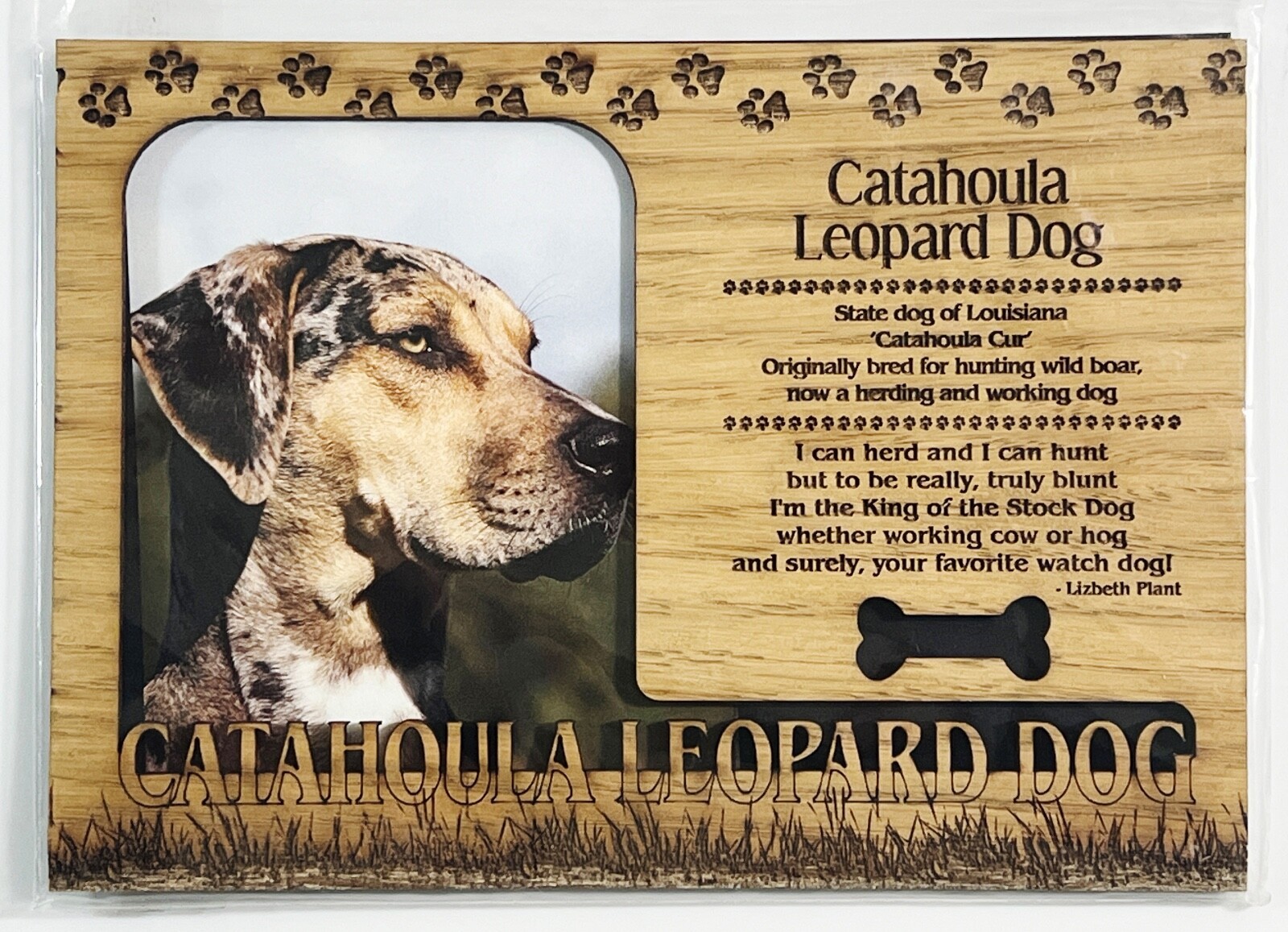CATAHOULA LEOPARD Dog Profile Laser Engraved Wood Picture Frame Magnet - $9.90