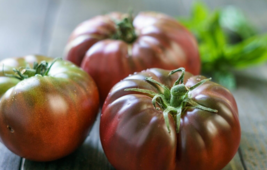 20 Pc Seeds Black Brandywine Tomato Plant, Tomato Vegetable Seeds for Planting R - £15.15 GBP