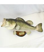 Largemouth Bass 21” Mounted Taxidermy on Wood Plaque 6 1/2 Lbs 1983 - $343.00