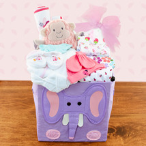 Best Wishes: Baby Girl Gift Basket - $200.95