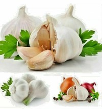 30 Seeds Purple Garlic Portugal Heirloom Organic Bulb Home Garden Vegetable - £7.11 GBP