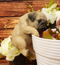 Lifelike Pot Pal Hanging Pug Puppy Pooch Dog Statue 6.5&quot;H Pugs With Glass Eyes - £23.59 GBP