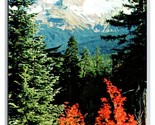 Mt Hood From Lolo Pass Oregon OR UNP Chrome Postcard C20 - £1.54 GBP