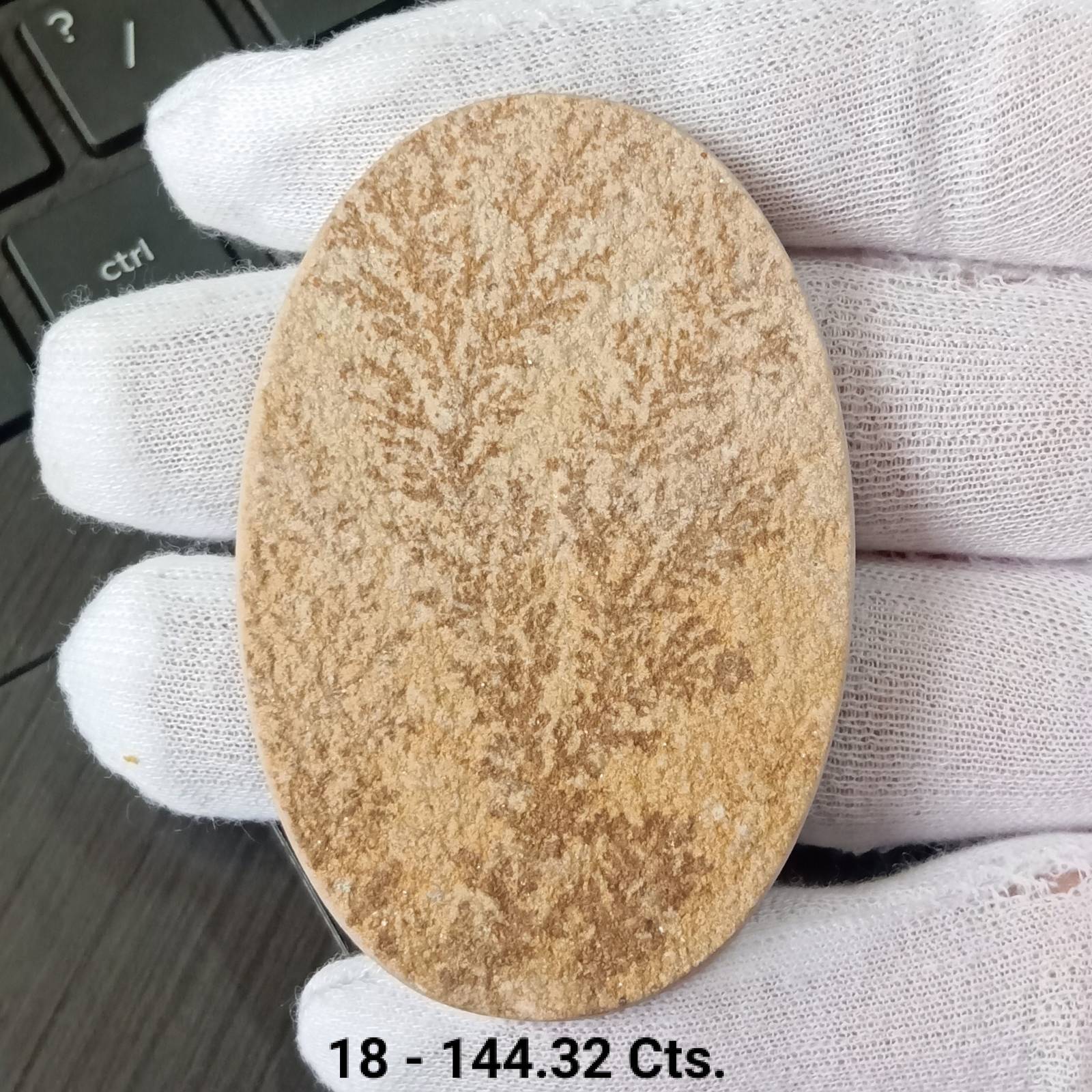 Germany Psilomelane Dendrite, Tree Patterns, For Nature Lovers, Psilomel... - $10.50