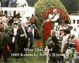 2009 - MINE THAT BIRD in the Kentucky Derby Winners Circle - 10&quot; x 8&quot; - £15.80 GBP
