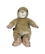 St. Louis Zoo Build A Bear Prairie Dog Plush Gopher Stuffed Animal Stl R... - £76.26 GBP