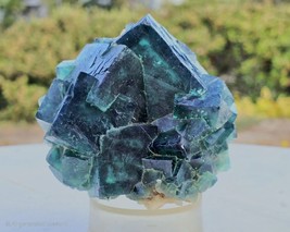 Green Cubic Fluorite Crystal Natural Mineral Specimen (GCL02) - $48.51