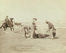 Cowboys branding a calf in South Dakota 1888 Photo Print - £7.04 GBP+