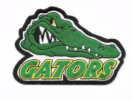 USAF 86th FLYING TRAINING SQUADRON "GATORS" G-FLIGHT PATCH FULL COLOR - $4.63