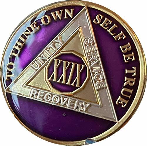 Ranger Industries 29 Year AA Medallion Metallic Purple Tri-Plate Sobriety Chip X
