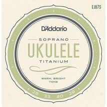 D'Addario EJ87S Titanium Soprano Ukulele Strings  - $28.00