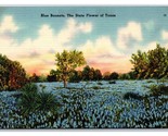 Blu Cuffiette Texas Stato Fiore Tx Unp Lino Cartolina N18 - $3.39