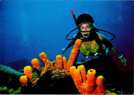 Postcard Cayman Islands  Scuba Diver Balboa Wreck George Town  6 x 4 inches - £3.90 GBP
