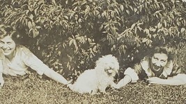Two Girls One Adorable Puppy and a Bush RPPC Real Photo c1910 Postcard D27 - £27.93 GBP