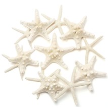 12 Pcs Starfish | 2.5-6 Inch Starfish Decor | Natural Bulk Starfish Shel... - £13.30 GBP