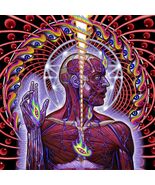 TOOL Lateralus BANNER 2x2 Ft Fabric Poster Tapestry Flag album cover art... - €18,85 EUR