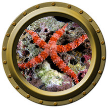 Starfish - Porthole Wall Decal - £10.98 GBP