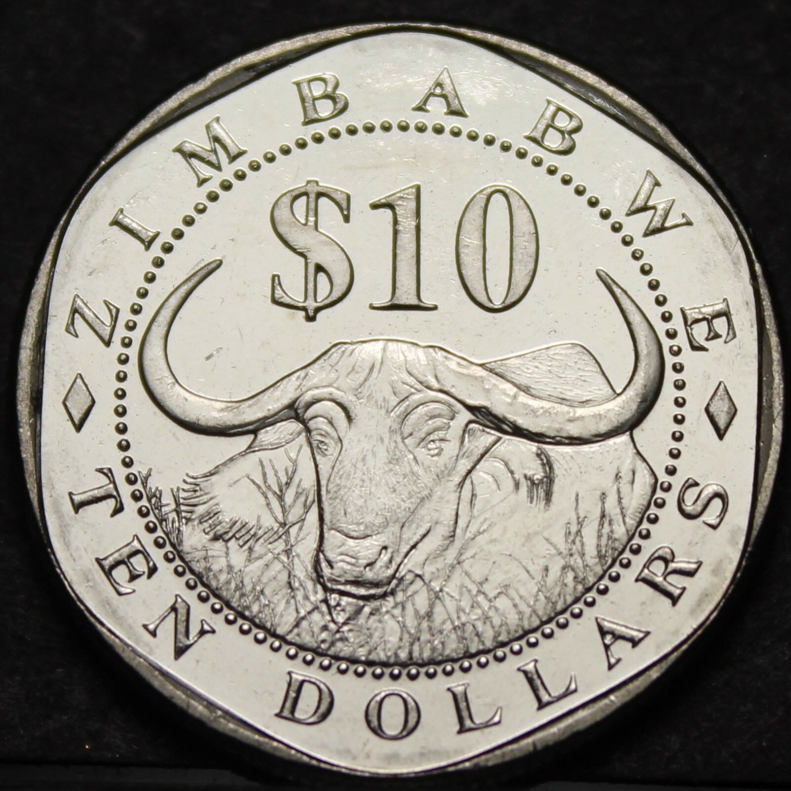 Zimbabwe 10 Dollars, 2003 Gem Unc~Water Buffalo~Only Year Ever~Free Shipping - £5.00 GBP