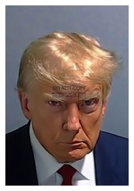 President Donald Trump Mugshot Fulton County Digitaly Enhanced 13X19 Photo - £14.15 GBP