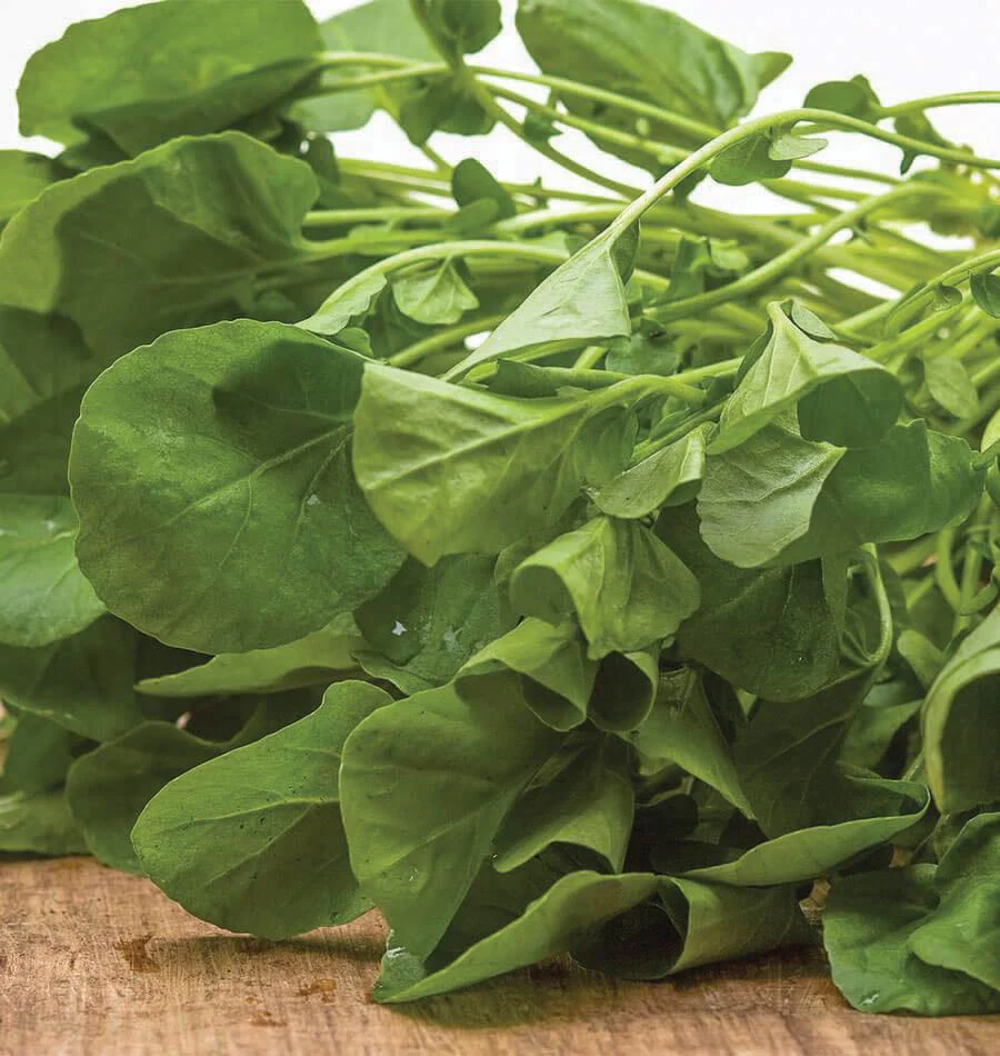 2000 Upland Cress Seeds Early Cress Creasy Greens Non-GMO Heirloom - $5.96