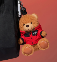 The North Face Mountain Bear Keyring Bag Keychain Accessory Brown NWT NA... - €35,88 EUR