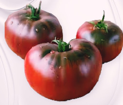 HGBO 50 Seeds Black Brandywine Tomato Seeds Heirloom Nongmo From US - $8.72