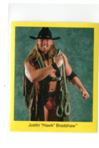 1997 WWF Cardinal Wrestling Trivia Card Justin &quot;Hawk&quot; Bradshaw WWE JBL APA NM - £1.96 GBP