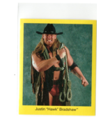 1997 WWF Cardinal Wrestling Trivia Card Justin &quot;Hawk&quot; Bradshaw WWE JBL A... - £1.95 GBP