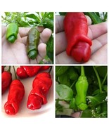 Peter Pepper Hot Sexy Chili Garden, 30 seeds - £9.76 GBP