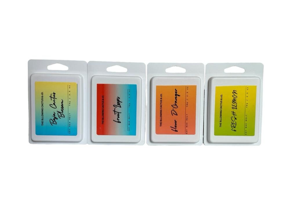 Highly Scented All Natural Soy Wax Melts-4 Different scents-6 Cube Clamshell -Fr - $14.99
