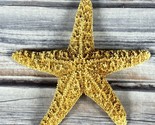Real Starfish Seashell - Dried Desiccated - 3&quot; - Nautical Decor  - £5.42 GBP