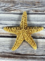 Real Starfish Seashell - Dried Desiccated - 3&quot; - Nautical Decor  - $6.89