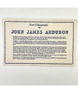 Vintage Four Prints  By John James Audubon Cardinal Blue Jay Crossbill M... - £11.65 GBP