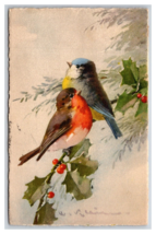 Lot of 4 Watecolor Birds Edition Stohli DB Postcards Z7 - £7.89 GBP